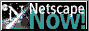 netscape.gif (1129 bytes)